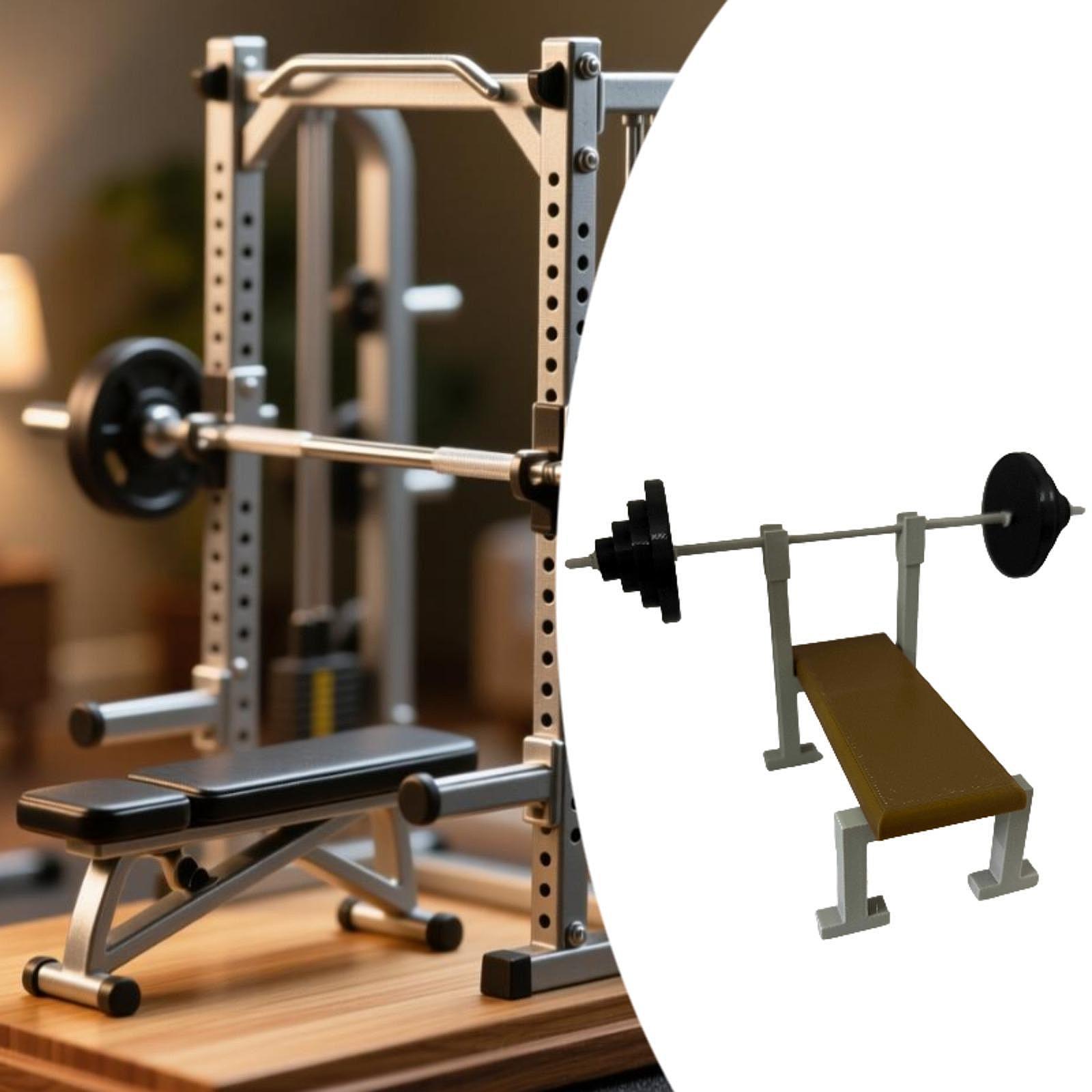 โมเดลชั้นวางบาร์เบลและม้านั่งแ - Sports Equipment Photos บทวิจารณ์และราคา