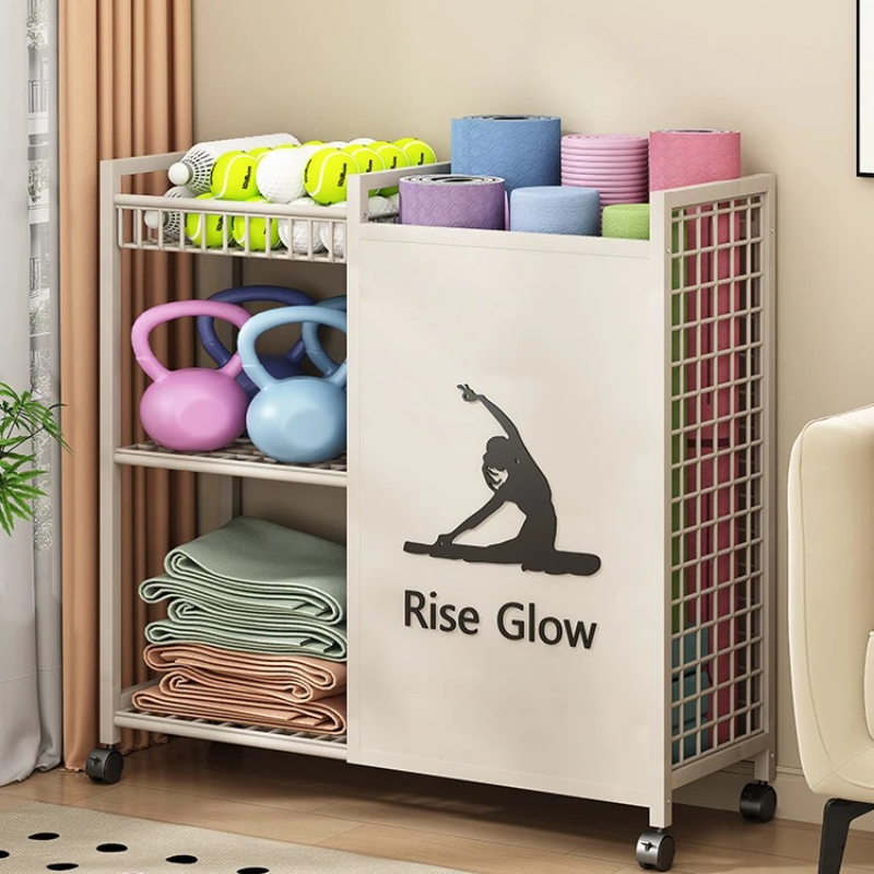 รถเข็นฟิตเนสเคลื่อนที่มีล้อ -  - Sports Equipment Trolley บทวิจารณ์และราคา